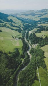 pexels-aeppli-1560021