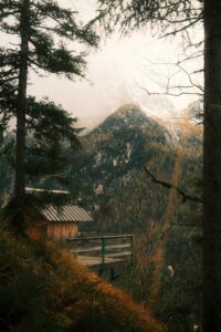 Featured image for article: Our news